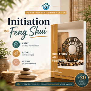 formation feng shui débutant