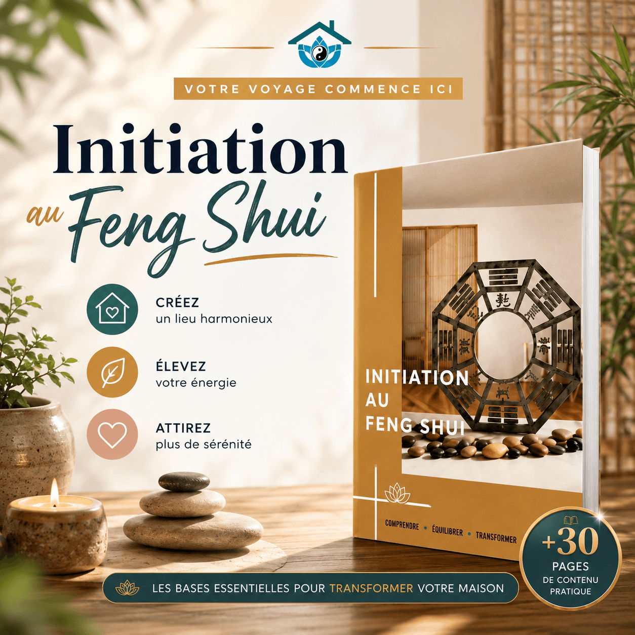 formation feng shui débutant