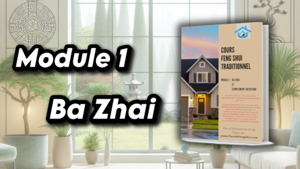 module 1 bazhai feng shui débutant