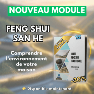 analyse de l'environnement avec la méthode feng shui san he