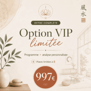 Option VIP limitée : Programme + analyse personnalisée